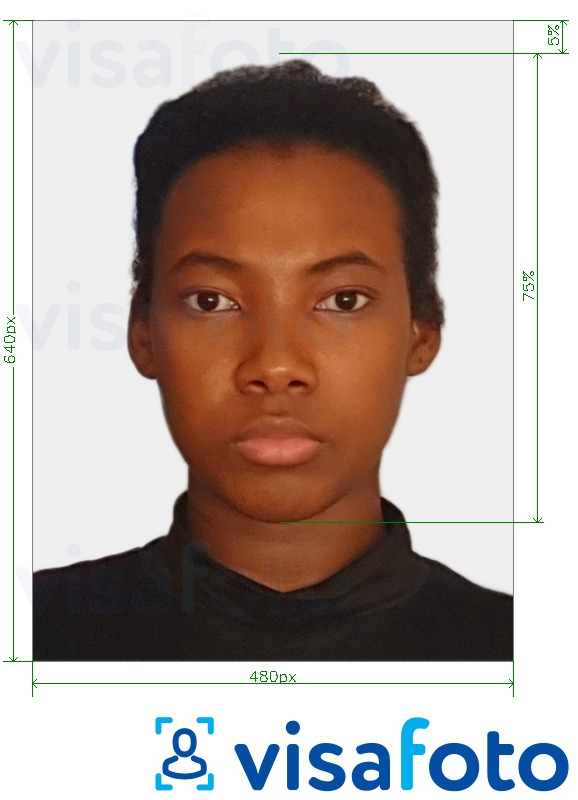 Primjer fotografije za Putovnica Bahama 480x640 piksela s točno određenom veličinom