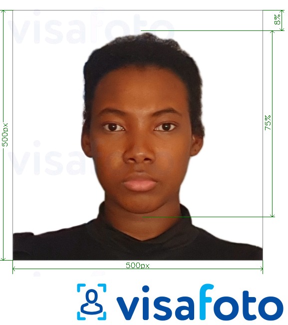 Primjer fotografije za Kamerunska viza online 500x500 px s točno određenom veličinom
