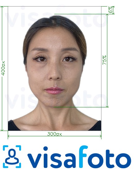 Primjer fotografije za Kina APEC poslovna putna kartica 300x400 piksela s točno određenom veličinom
