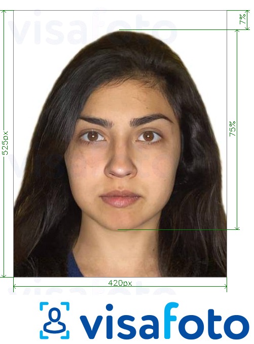 Primjer fotografije za Indijska online vozačka dozvola 420x525 piksela s točno određenom veličinom