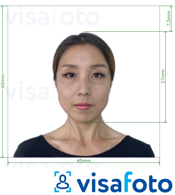 Primjer fotografije za Japan Visa 45x45mm, glava 27 mm s točno određenom veličinom
