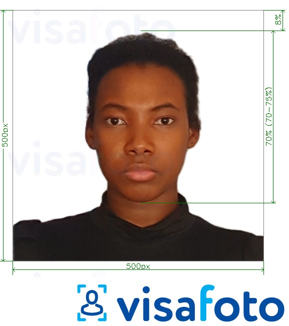 Primjer fotografije za Kenija e-viza online 500x500 piksela s točno određenom veličinom